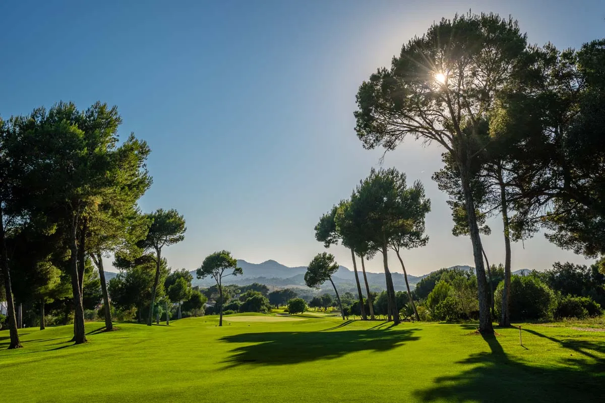 Mallorca Golf Son Servera Die besten Golfplätze Gegenlicht