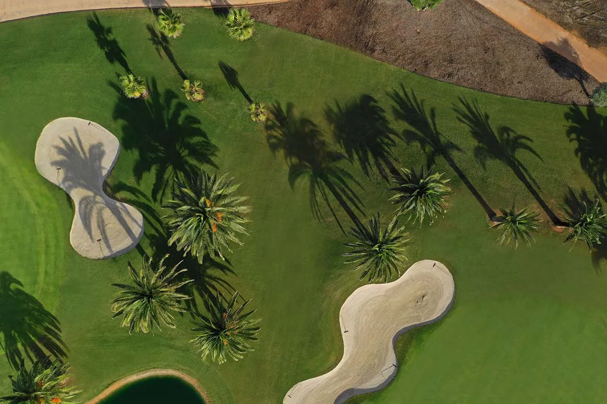 Mallorca Golf T-Golf Poniente Magaluf Calvia Palmen und Bunker