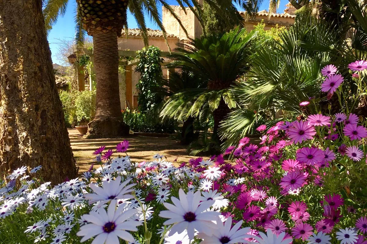 Mallorca Hotels Fincahotel Algaida Finca Raims Garten