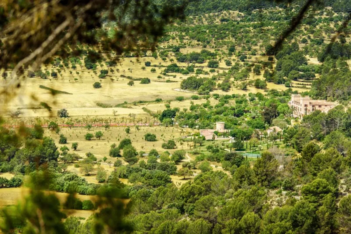 Mallorca Hotel Südwesten Luxushotels Castell Son Claret Lage