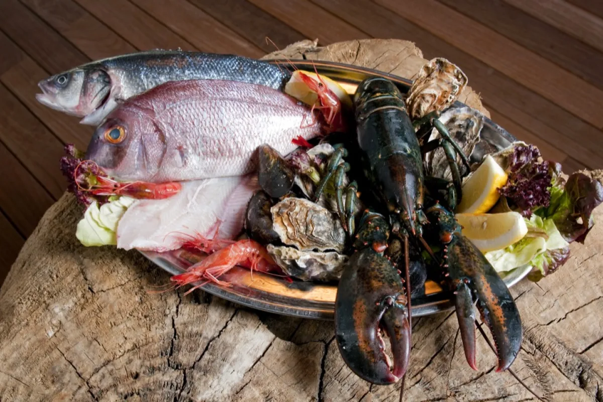 Mallorca Restaurants Port Adriano Bruno Fisch